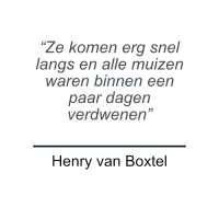 Henry van Boxtel over Prospekt