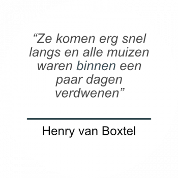 Henry van Boxtel over Prospekt